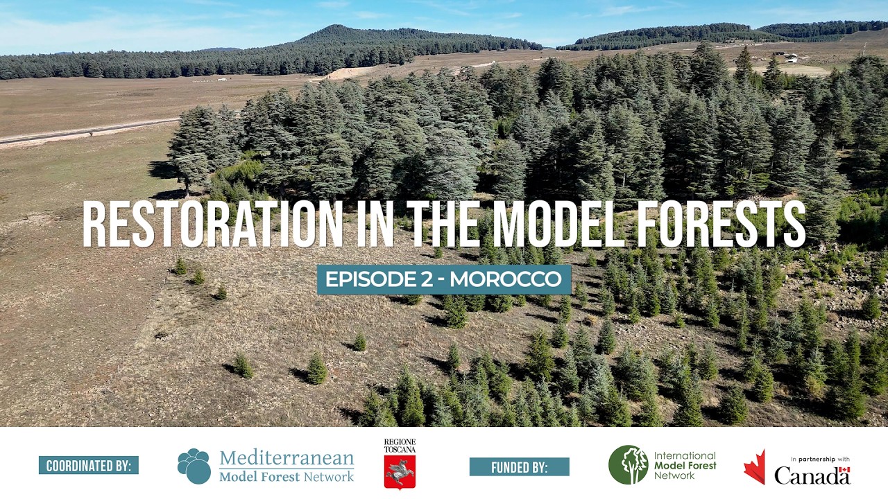RESTORATION IN THE MODEL FORESTS - Episode 2 - Morocco