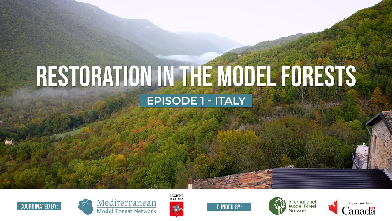 RESTORATION IN THE MODEL FORESTS - Episode 1 - Italy