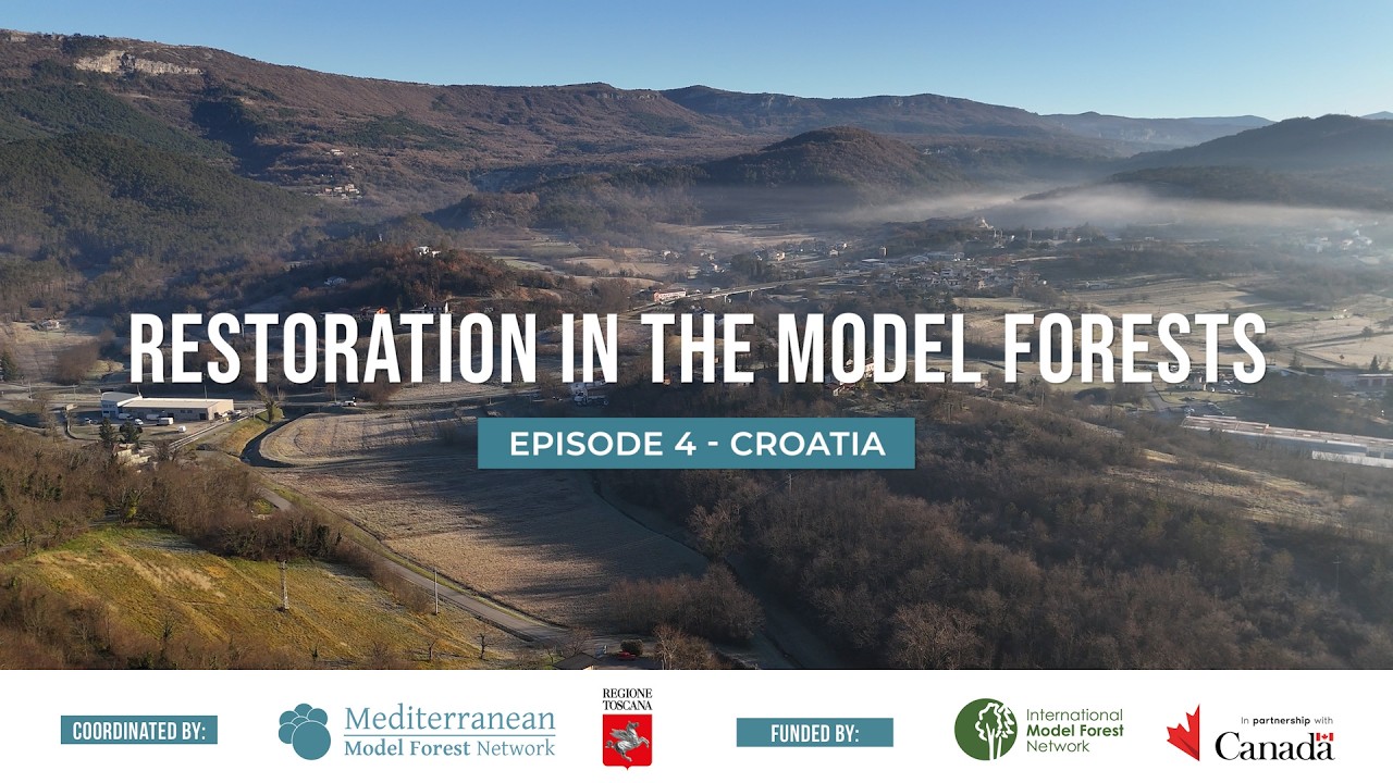 RESTORATION IN THE MODEL FORESTS - Episode 4 - Croatia