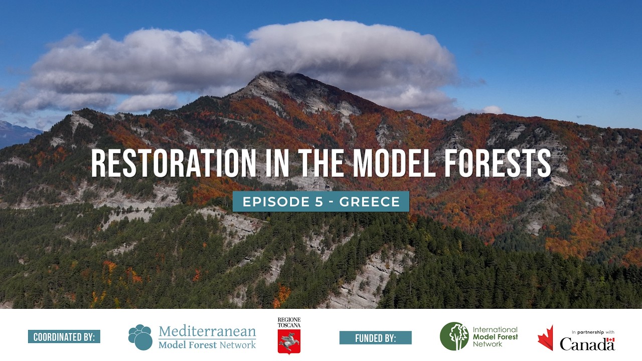 RESTORATION IN THE MODEL FORESTS - Episode 5 - Greece