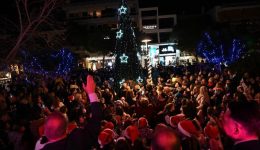 Άnamma-dentrou-stin-platia-imion