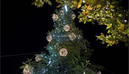 &Alpha;navallete-to-anamma-tou-christougenniatikou
