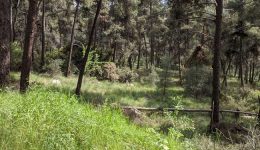 &Alpha;pagorefsi-dielefsis-paramonis-ke-kikloforias