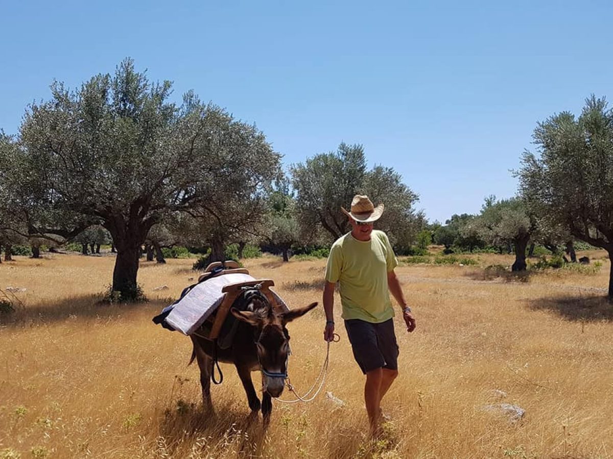 Donkey Cruise: Ένα καταφύγιο για τα γαϊδουράκια της Ρόδου