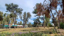 Klisto-to-proi-tis-pemptis