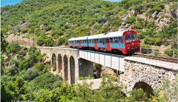 Leontari-simera-stin-kalamata-i