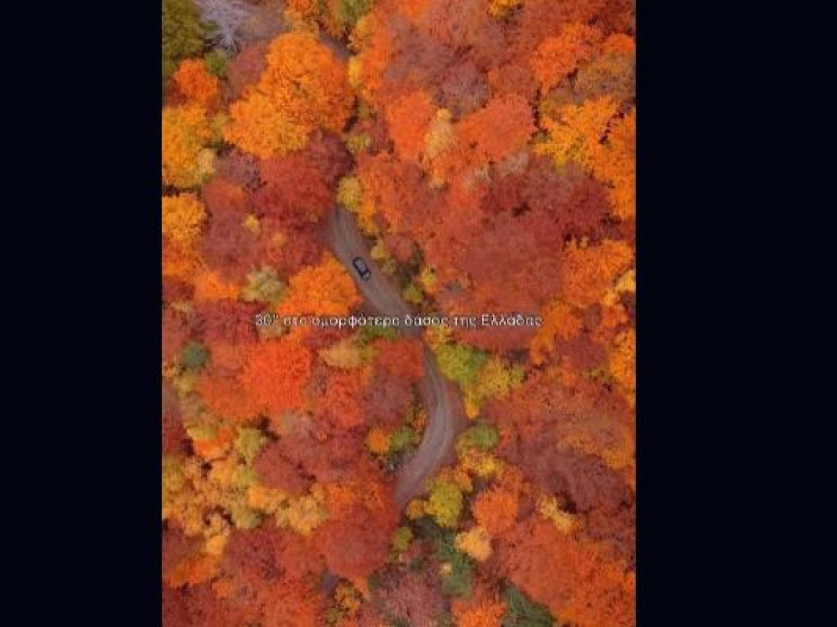 Αυτή είναι η ομορφότερη διαδρομή στην Ελλάδα που μάγεψε όλο τον πλανήτη -Πού βρίσκεται, πώς θα φτάσεις