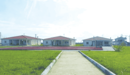 afxanonte-ta-kondilia-gia-tis