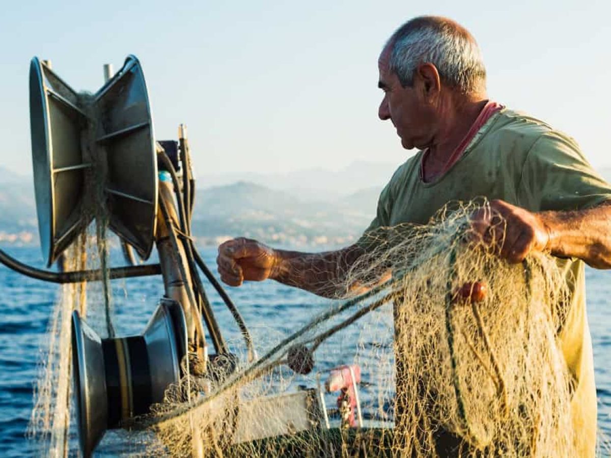 Αύξηση έως και 100% στις τιμές λόγω μείωσης των αλιευμάτων στην Ζάκυνθο