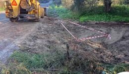 devΑd-Αpokatastasis-vlavon-sto-diktio