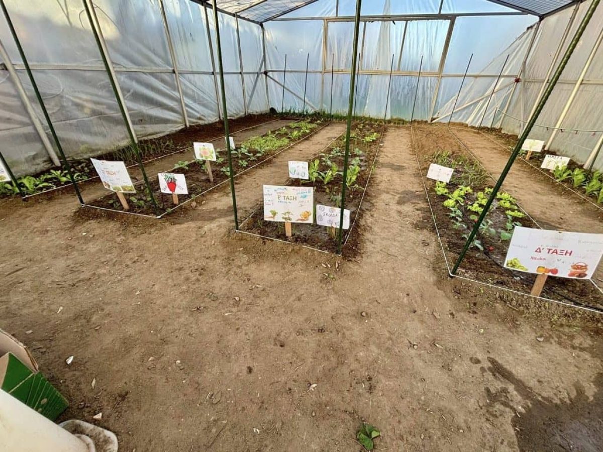 Δίκαια Έβρου: Το δημοτικό σχολείο που αντιστέκεται στο δημογραφικό λειτουργεί μαθητικά θερμοκήπια  με σύγχρονο εξοπλισμό