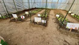 dikea-evrou-to-dimotiko-scholio