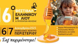 divme-polles-simmetoches-apo-tin