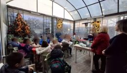 enosi-kirion-dramas-s.Α.f.-ta-pedia