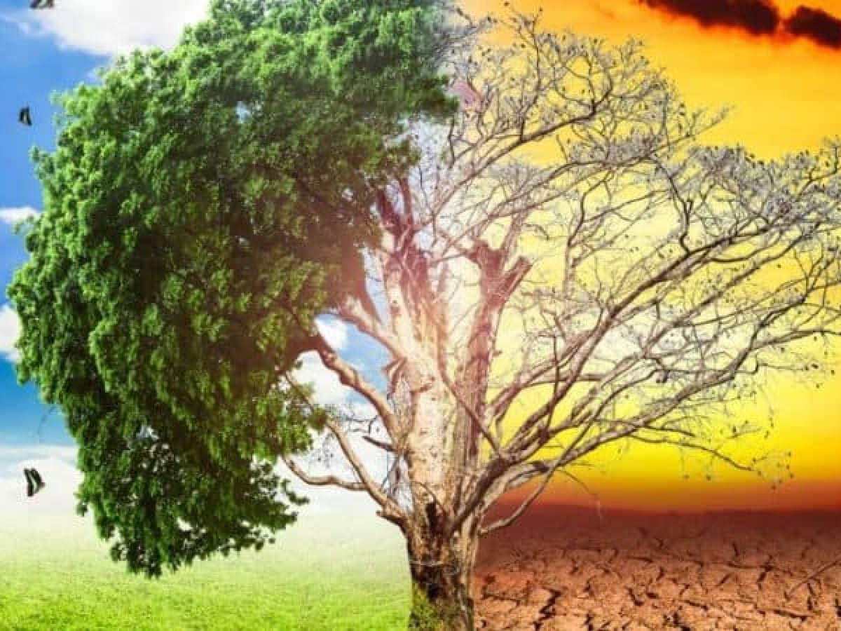 Φλώρινα: Εκδήλωση για το Περιβάλλον και την κλιματική αλλαγή