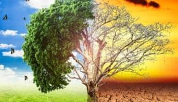 florina-ekdilosi-gia-to-perivallon