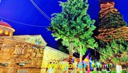 forese-christougenniatika-i-panagia-i-skripou