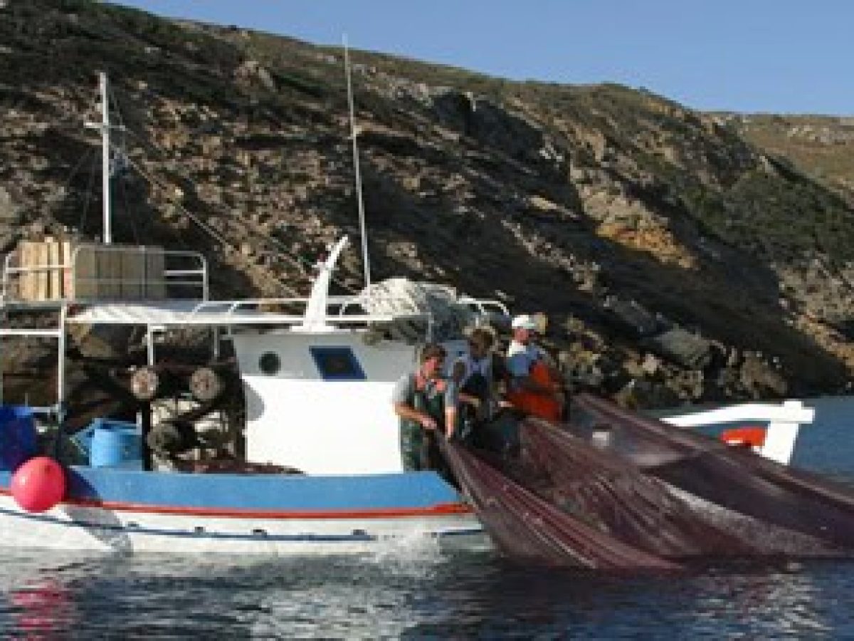 Η Βιντζότρατα στο ΕΔΔΑ: Καταδίκη της Ελλάδας για Μη Εφαρμογή της Απόφασης 2133/2021 – Νέο Τοπίο για την Επαγγελματική Αλιεία