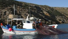 i-vintzotrata-sto-eddΑ-katadiki