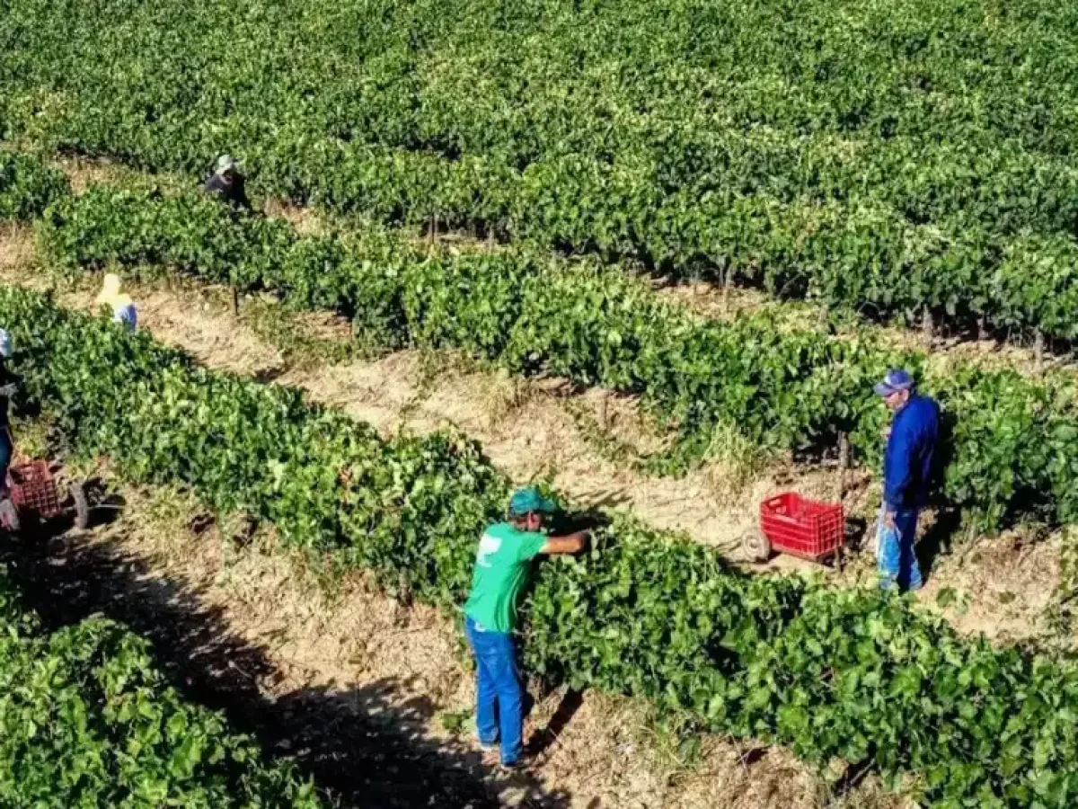 Ημερίδα στη Λάρισα με θέμα: «Τροφική παραγωγή σε δομική κρίση: Προκλήσεις, λύσεις και προοπτικές»