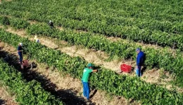 imerida-sti-larisa-me-thema