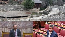 kamia-desmefsi-apo-ton-if