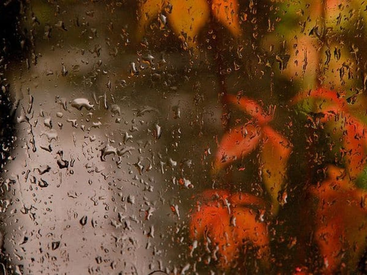 Καιρός στη Δυτική Μακεδονία (18–23 Νοεμβρίου) – Μια εβδομάδα με μεταβατικό σκηνικό και φθινοπωρινές διαθέσεις