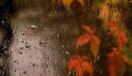 keros-sti-ditiki-makedonia-18–23