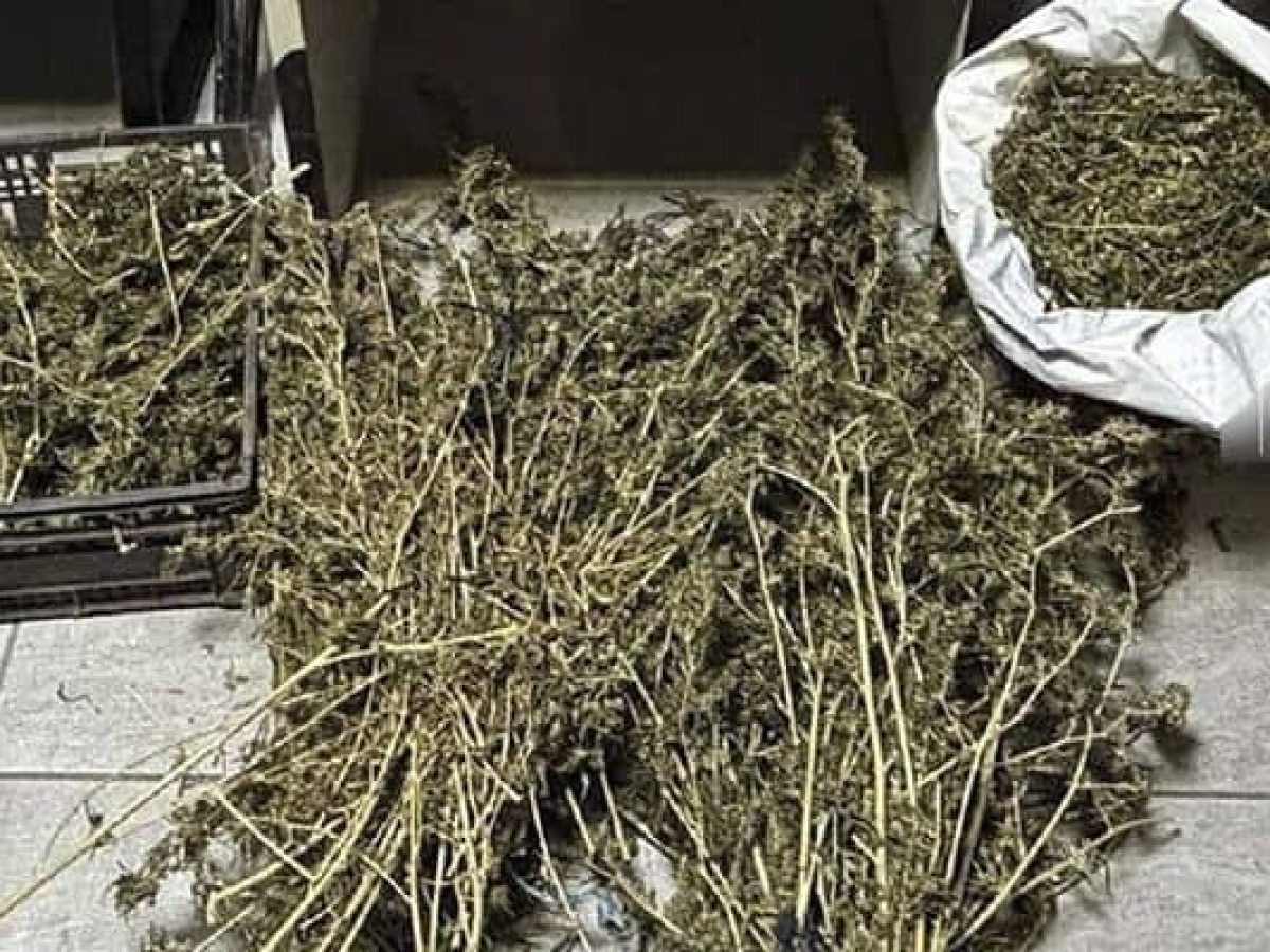 Κιλκίς: 58χρονος πιάστηκε με σακουλάκια ηρωίνης και κοκαΐνης και πάνω από 1.200 γραμμάρια κάνναβη