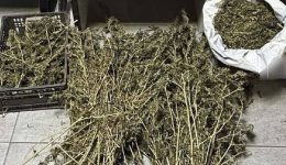 kilkis-58chronos-piastike-me-sakoulakia