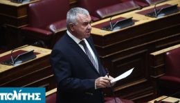 kinovouleftiki-erotisi-michailidi-gia-tis
