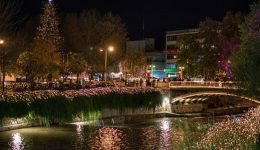 me-to-vlemma-ston-milo