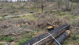 meta-ti-megali-pirkagia-tou