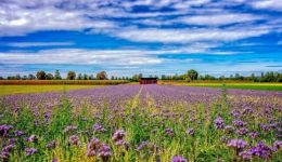 panevropaiko-vima-proodou-schetika-me