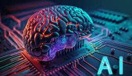 pano-apo-500-fitites-ke