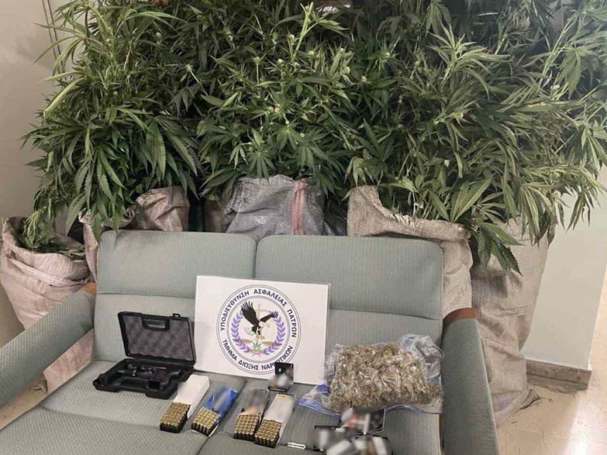 Πάτρα: Οργανωμένο «εργαστήριο» καλλιέργειας κάνναβης εντόπισε η Δίωξη Ναρκωτικών σε οικία