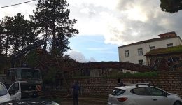 ptosi-pefkou-prokali-anisichia-sto