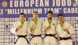 rafina-chalkino-metallio-gia-ton