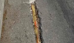 safari-elegchon-apo-ton-dimo