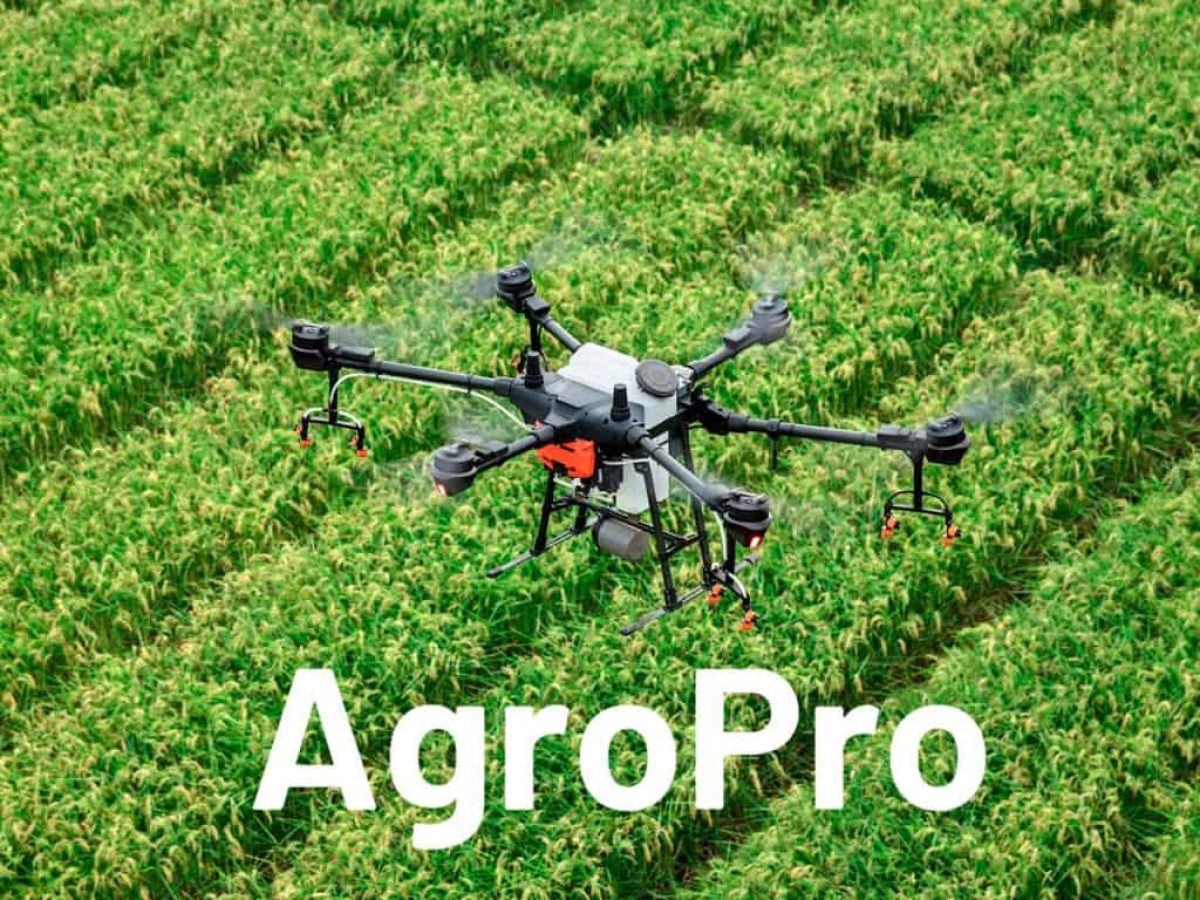 Σχέδιο Ενίσχυσης της Ανταγωνιστικότητας του Πρωτογενούς Τομέα στην ΠΑΜΘ