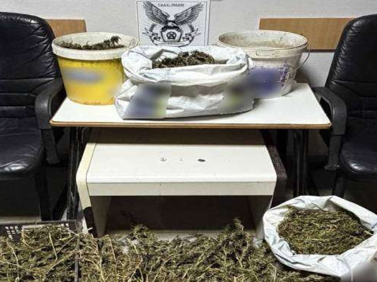 Σύλληψη από αστυνομικούς του Τμήματος Δίωξης Πέλλας, για ναρκωτικά