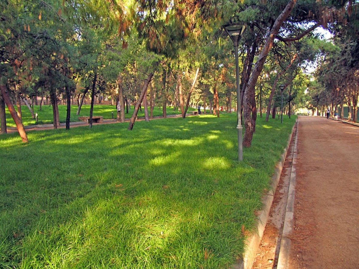 Σύμβαση με το Γεωπονικό Πανεπιστήμιο για την αναζωογόνηση του Άλσους 