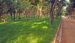 simvasi-me-to-geoponiko-panepistimio