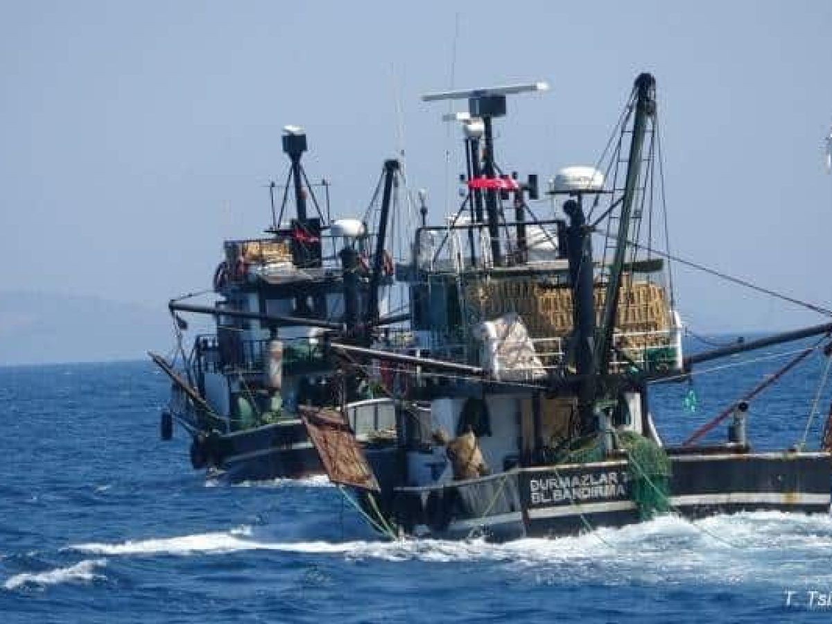 Συζήτηση για την παράνομη τουρκική αλιεία στο Περιφερειακό Συμβούλιο Βορείου Αιγαίου