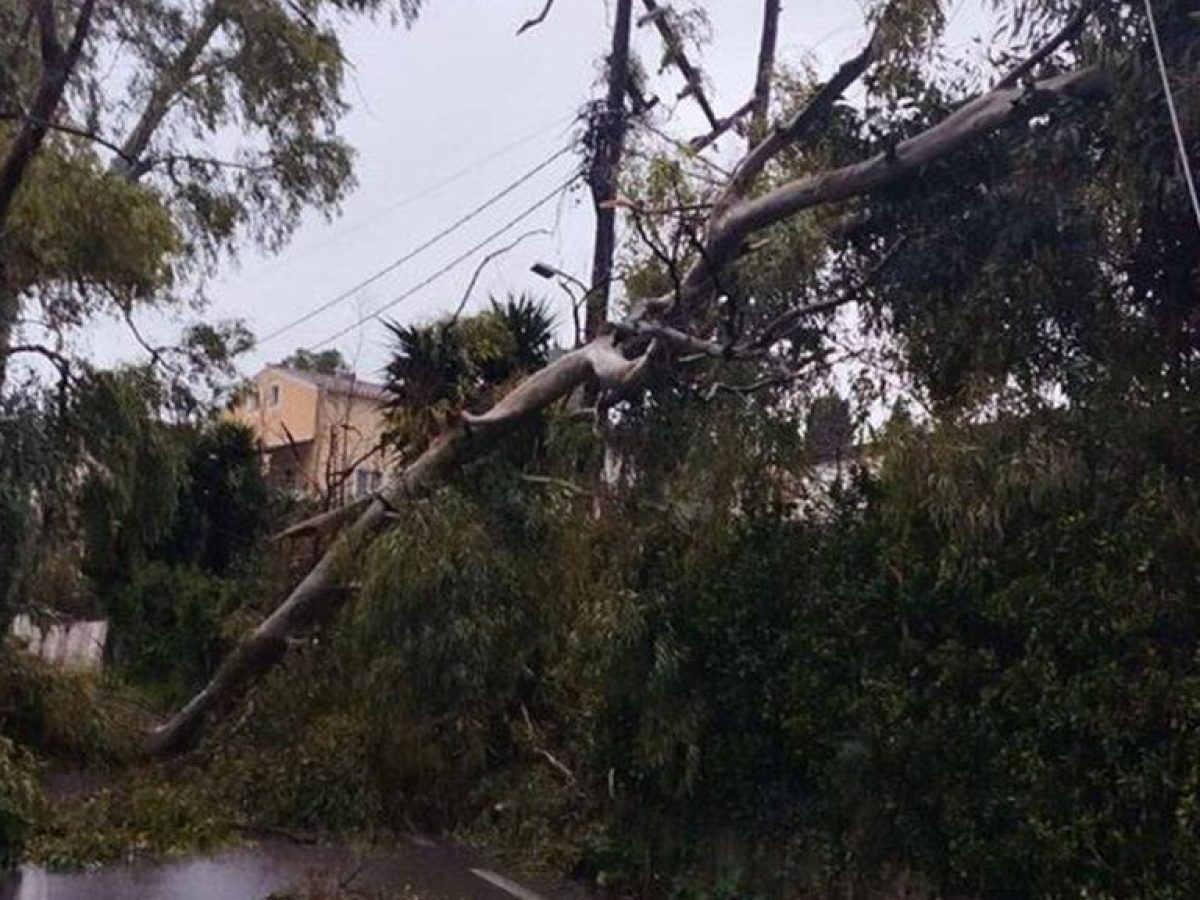 Σοβαρά προβλήματα από την κακοκαιρία στην Κέρκυρα: Χωρίς ρεύμα πολλές περιοχές – Δέντρο έπεσε σε νεκροταφείο