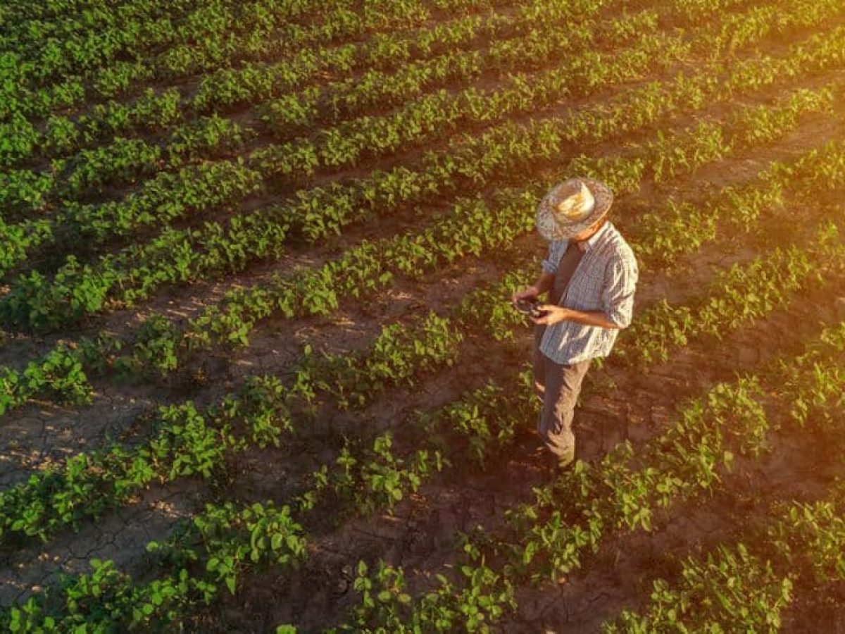 Θέση Εργασίας στο Κτήμα Κώστα Λαζαρίδη