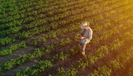 thesi-ergasias-sto-ktima-kosta