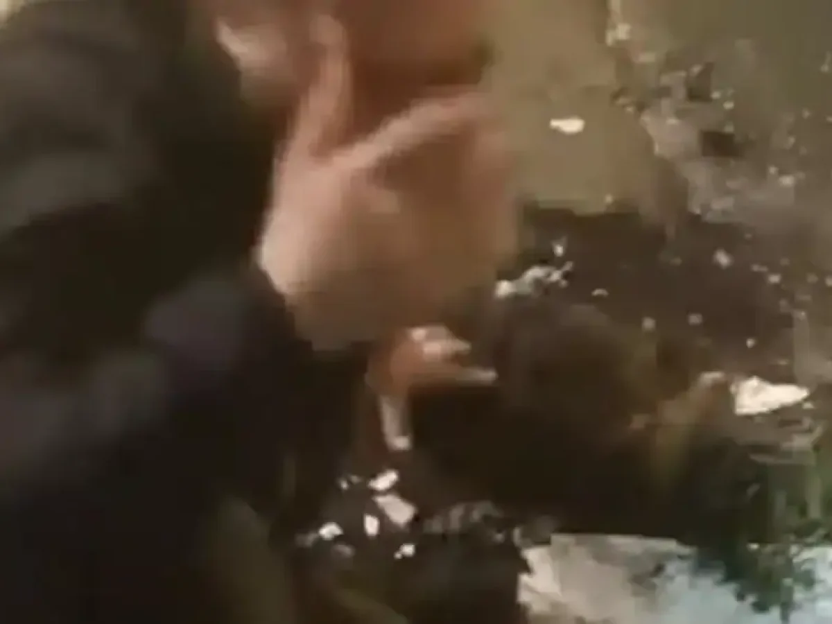 Θεσσαλονίκη: Βίντεο από τη στιγμή που διαρρήκτες σφαδάζουν – Πήδηξαν από μπαλκόνι και έσπασαν τα πόδια τους