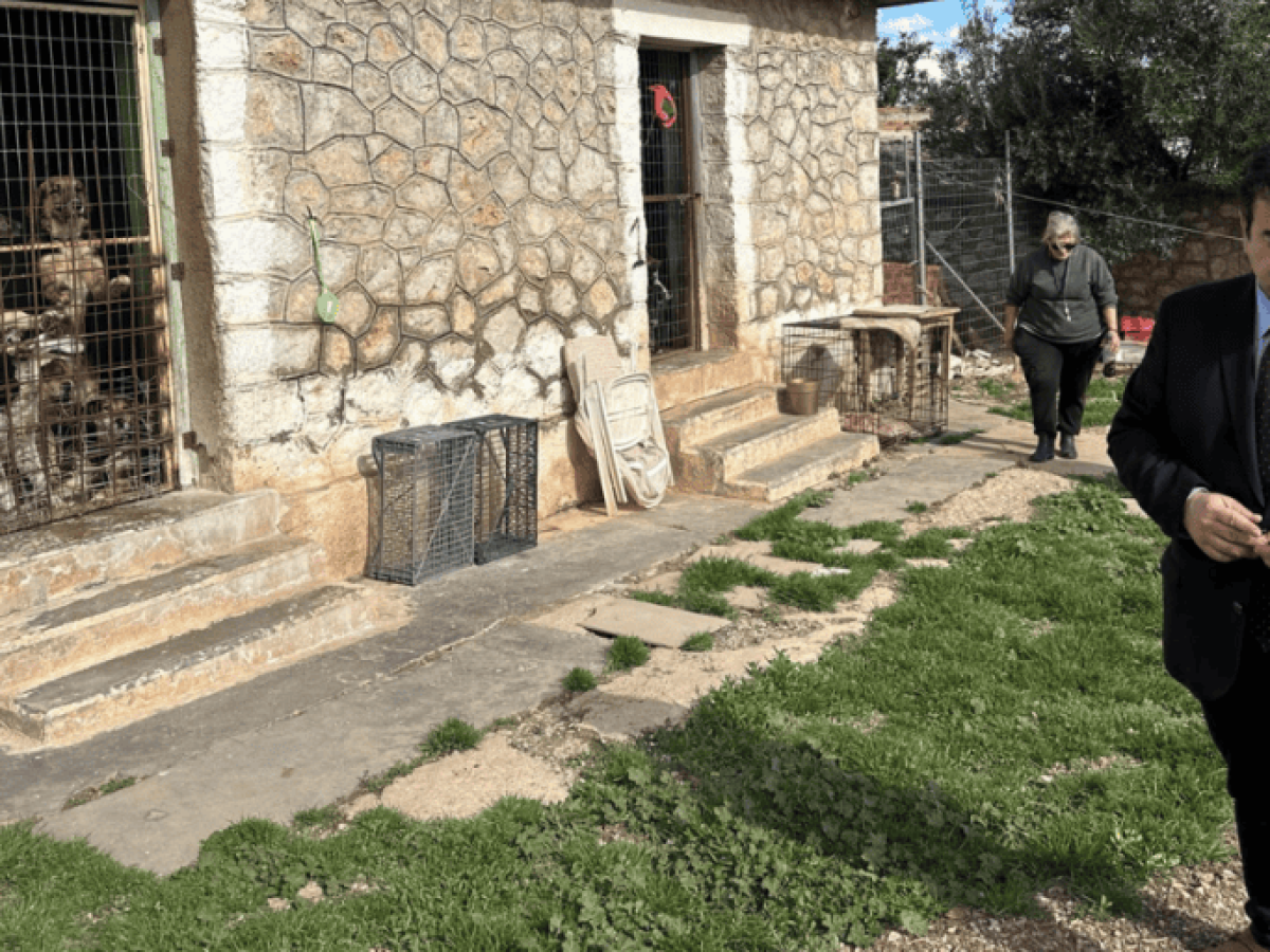 Θρίλερ στο Άργος: 17χρονο κορίτσι χειρουργείται μετά από επίθεση αδέσποτων – Φυσικά και φταίει ο Δήμος!