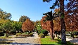 ti-ginete-sto-Άlsos-kifisias&hellip;&Alpha;nonimos